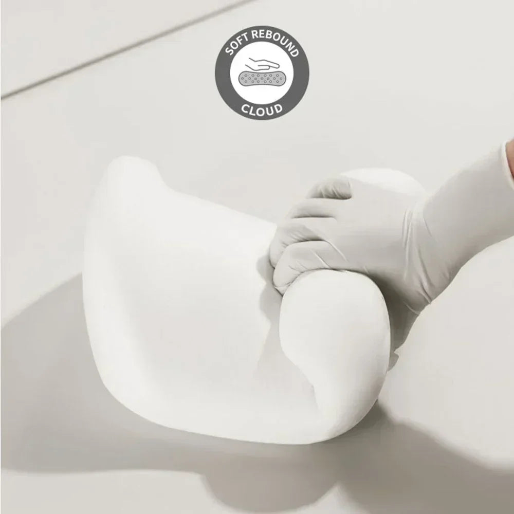 Car Headrest Lumbar Support Set